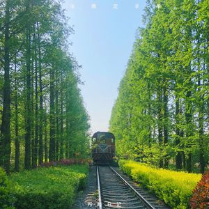 欧美老熟妇乱大交XXX
